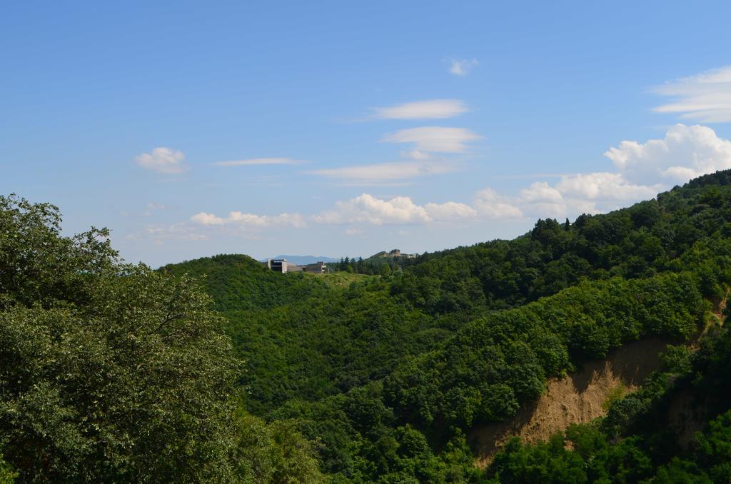 Guest House Central Sighnaghi Zewnętrze zdjęcie